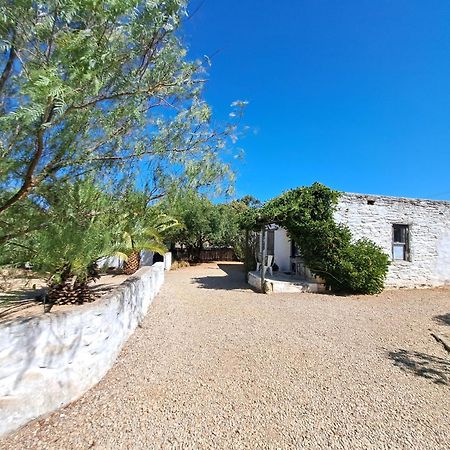 Olive Grove Cottage Koringberg Extérieur photo