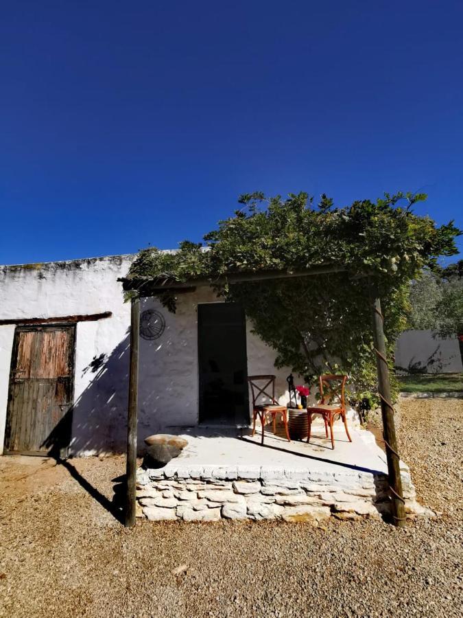 Olive Grove Cottage Koringberg Extérieur photo